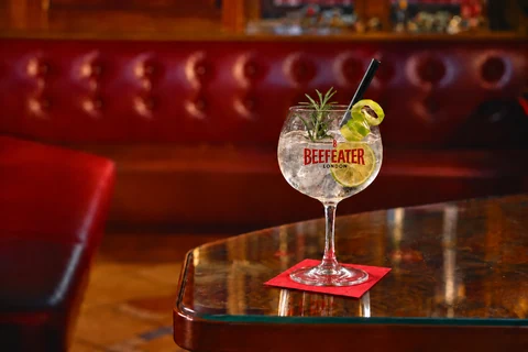 Gin Tonic 0,0%